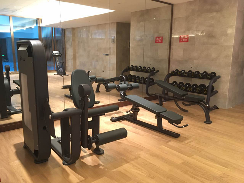 酒店健身房器材,室内健身器材,高端商用健身器材-广西MK体育恩波利体育健身器材有限公司