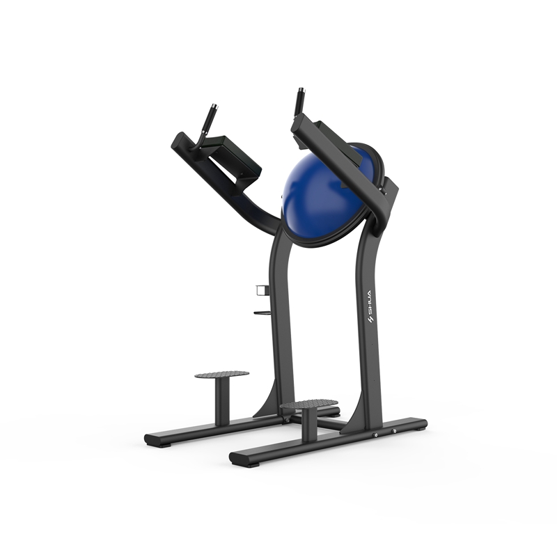 SH-G6886 提腿训练器